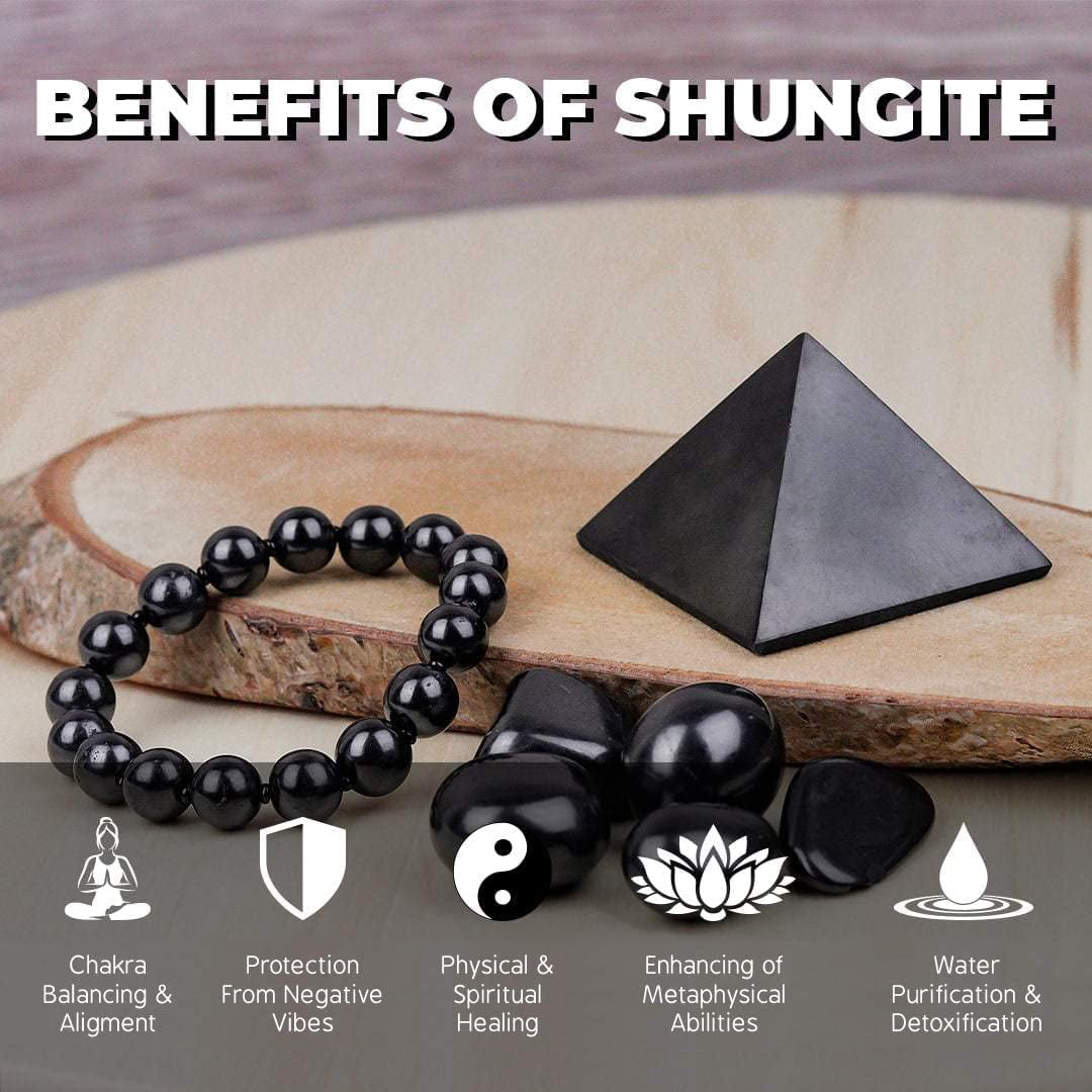 Shungite Elite Stones for Water Purification | Silvery Shine Raw Elite Noble Shungite Detoxification Stones for Water Filtering | Natural and Authentic Shungite Nuggets from Karelia (50G)