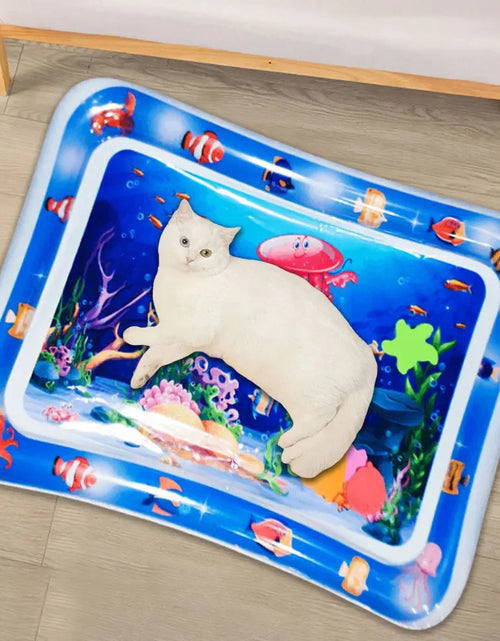 Load image into Gallery viewer, Sensory Water Mat Thickened Sensor Play Water Sensor Cat Mat Pet Supplies Cleaning Cooling Mat Summer Cat Pets Accessories
