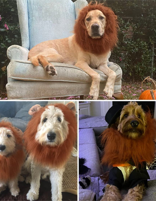 Load image into Gallery viewer, Lion Mane for Dog Costumes, Realistic Wig for Medium to Large Sized Dogs (Dark Brown)
